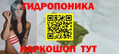 гашик Бузулук
