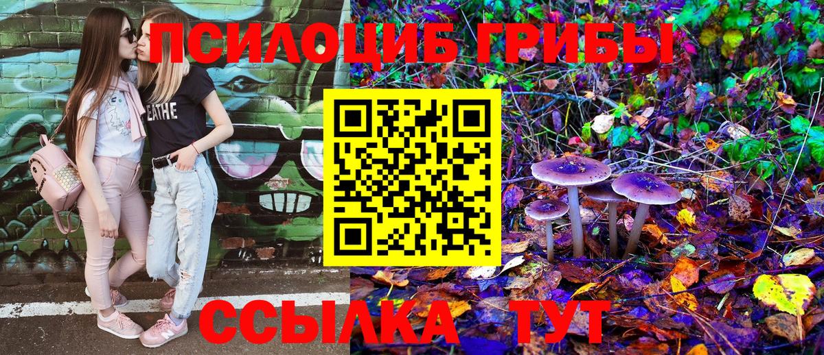 Псилоцибиновые грибы GOLDEN TEACHER Снежинск