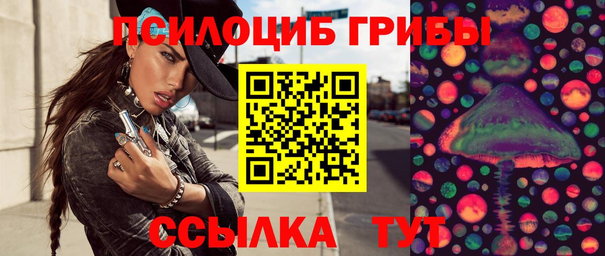 Псилоцибиновые грибы Cubensis  Вход с VPN  Снежинск  Псилоцибиновые грибы GOLDEN TEACHER 